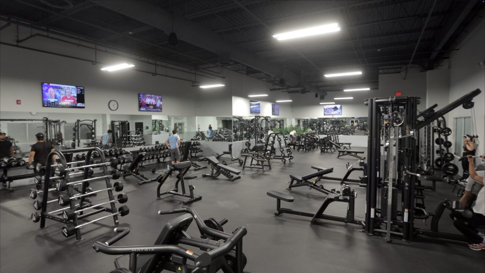 The Beginner's Guide to Gym Equipment Everything You Need to Know(01)